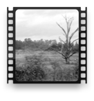 collage image title