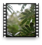 collage image title