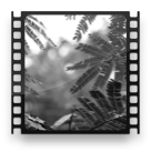 collage image title