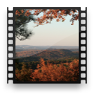 collage image title