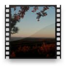collage image title