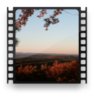 collage image title