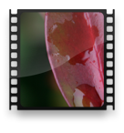 collage image title