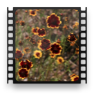 collage image title