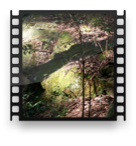 collage image title
